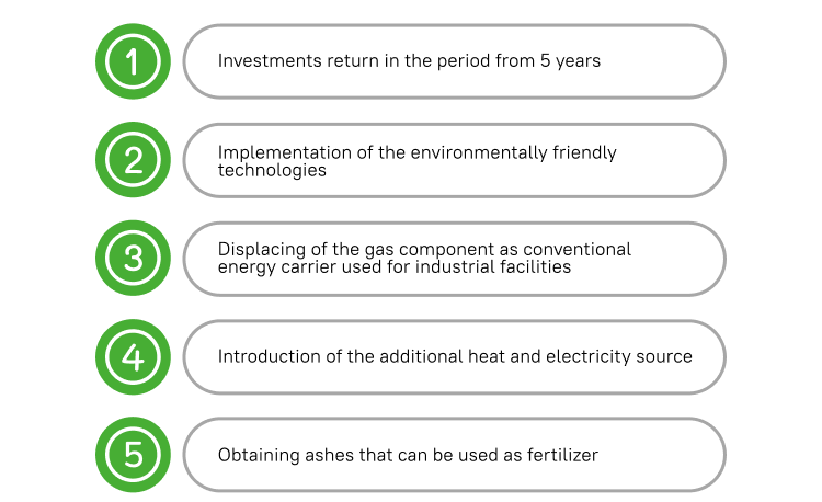 5 reasons for realization of the biomass projects